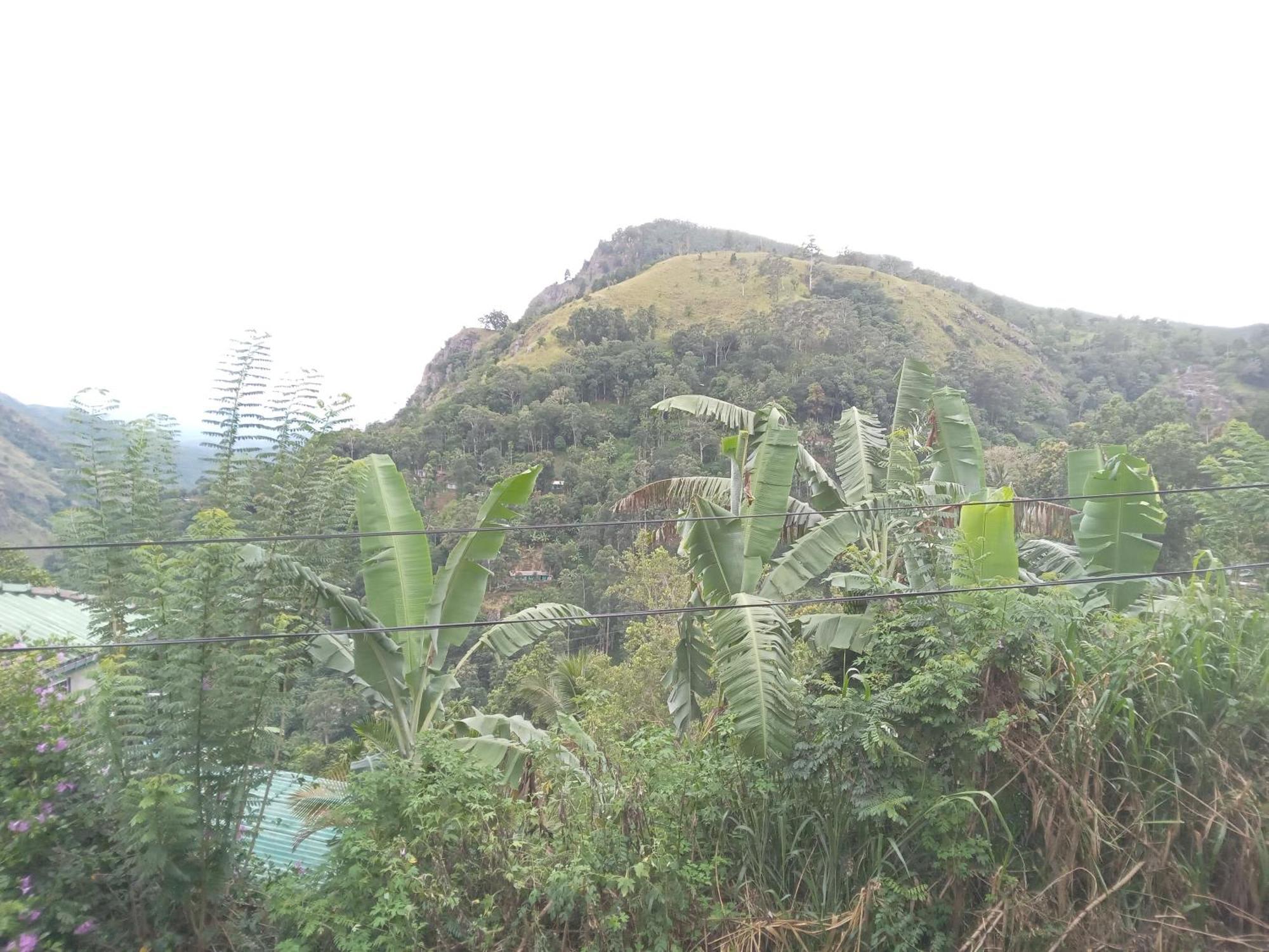 Chamodya Home Stay Ella Bagian luar foto
